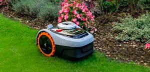 Robotplæneklippere