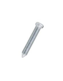 Jasa Cylinderskrue 100 stk.
